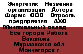 Энергетик › Название организации ­ Астери-Фарма, ООО › Отрасль предприятия ­ АХО › Минимальный оклад ­ 1 - Все города Работа » Вакансии   . Мурманская обл.,Мончегорск г.